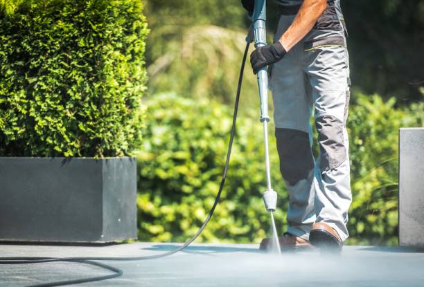 Best Building Exterior Washing  in Morris, MN