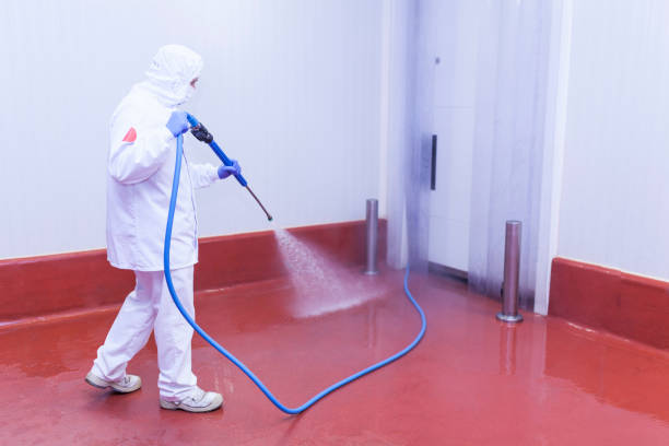 Boat and Dock Cleaning in Morris, MN