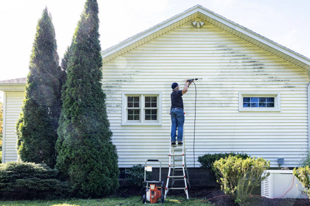 Best House Exterior Washing  in Morris, MN