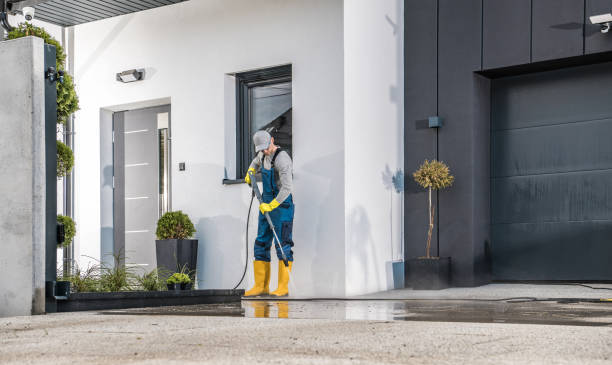 Best Paint Preparation  in Morris, MN